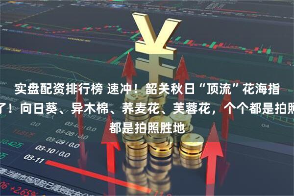 实盘配资排行榜 速冲！韶关秋日“顶流”花海指南来了！向日葵、异木棉、荞麦花、芙蓉花，个个都是拍照胜地