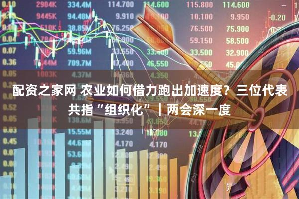 配资之家网 农业如何借力跑出加速度？三位代表共指“组织化”｜两会深一度